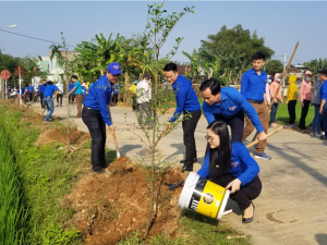 Ra quân Tết trồng cây tại huyện Hòa Vang